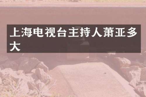 上海电视台主持人萧亚多大