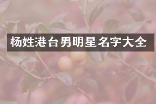 杨姓港台男明星名字大全
