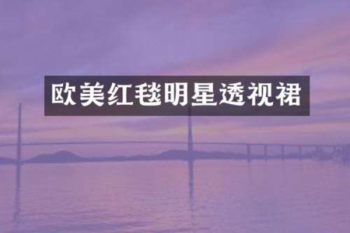 欧美红毯明星透视裙