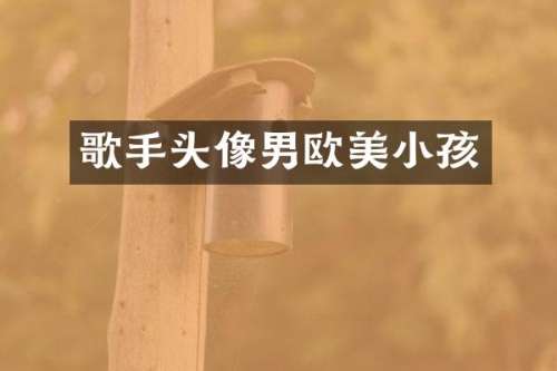 歌手头像男欧美小孩