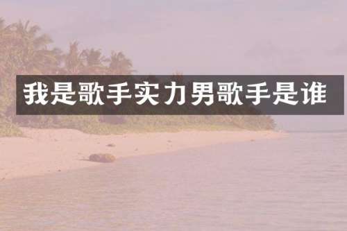 我是歌手实力男歌手是谁