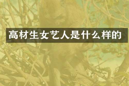 高材生女艺人是什么样的