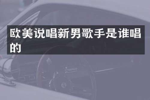欧美说唱新男歌手是谁唱的