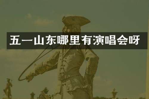 五一山东哪里有演唱会呀