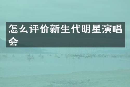 怎么评价新生代明星演唱会
