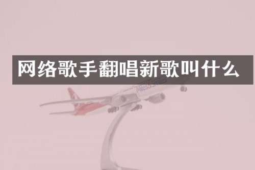 网络歌手翻唱新歌叫什么