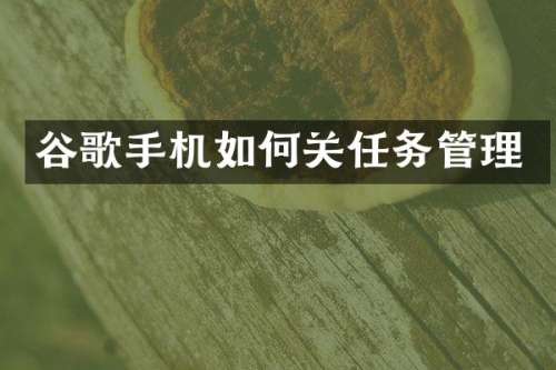 谷歌手机如何关任务管理