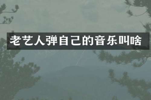 老艺人弹自己的音乐叫啥