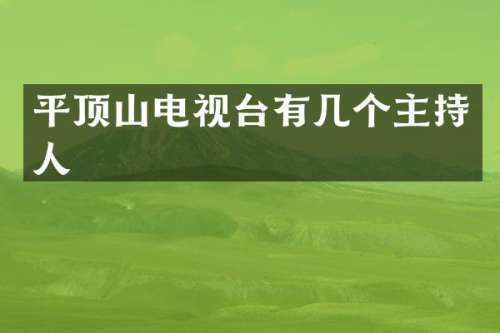 平顶山电视台有几个主持人