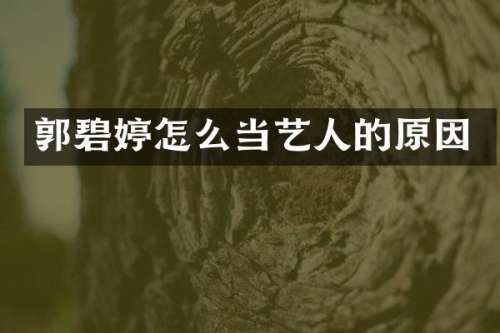 郭碧婷怎么当艺人的原因