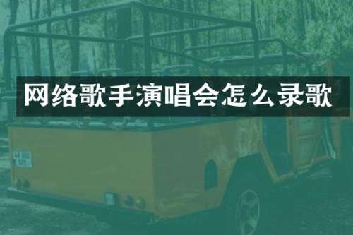 网络歌手演唱会怎么录歌