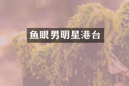 鱼眼男明星港台