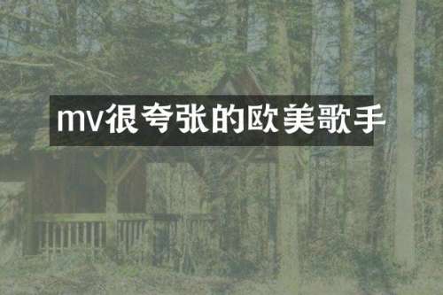 mv很夸张的欧美歌手