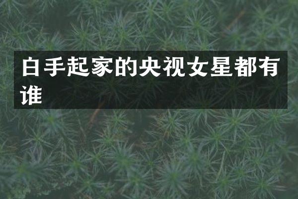 白手起家的央视女星都有谁