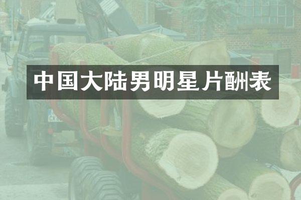 中国大陆男明星片酬表