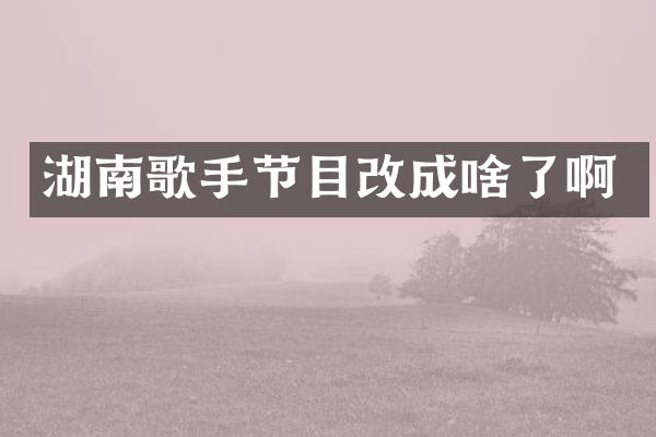 湖南歌手节目改成啥了啊