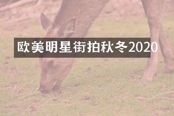 欧美明星街拍秋冬2020