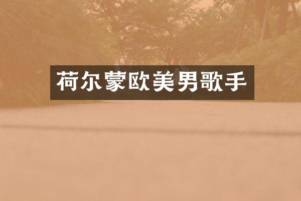 荷尔蒙欧美男歌手