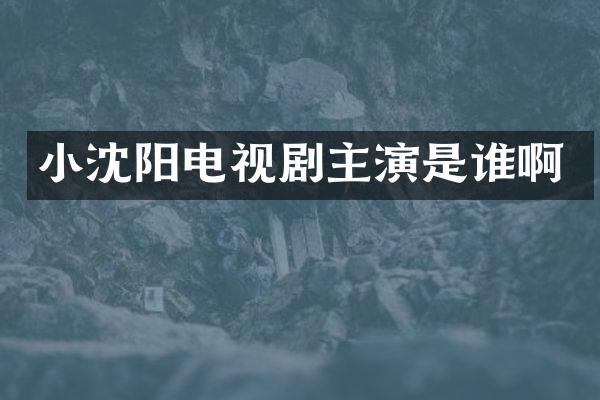 小沈阳电视剧主演是谁啊