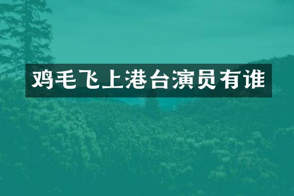 鸡毛飞上港台演员有谁