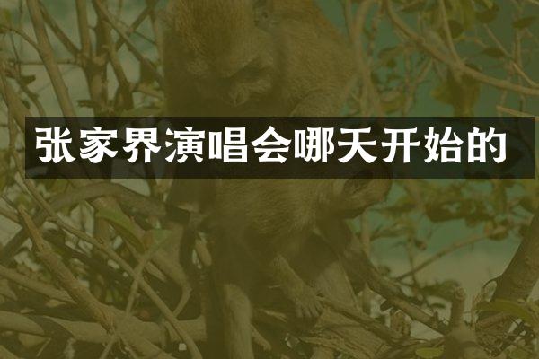 张家界演唱会哪天开始的