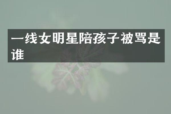 一线女明星陪孩子被骂是谁