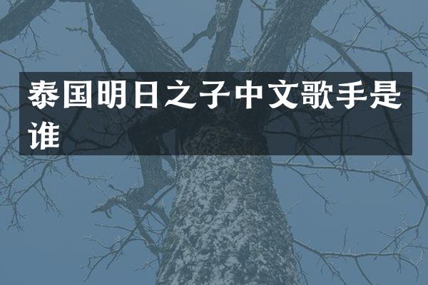 泰国明日之子中文歌手是谁