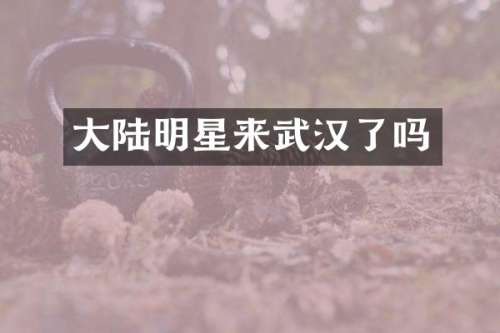 大陆明星来武汉了吗