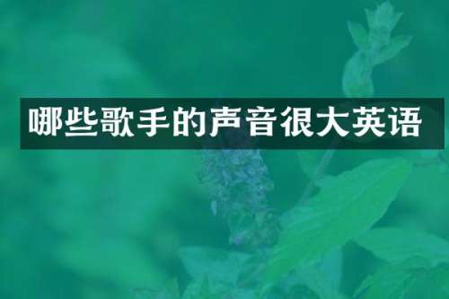 哪些歌手的声音很大英语