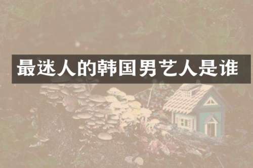 最迷人的韩国男艺人是谁