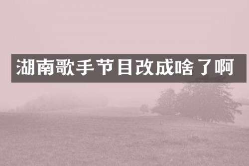 湖南歌手节目改成啥了啊