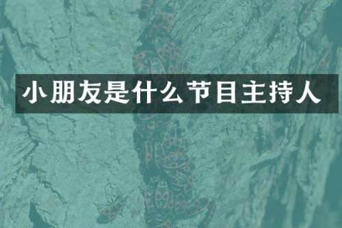 小朋友是什么节目主持人