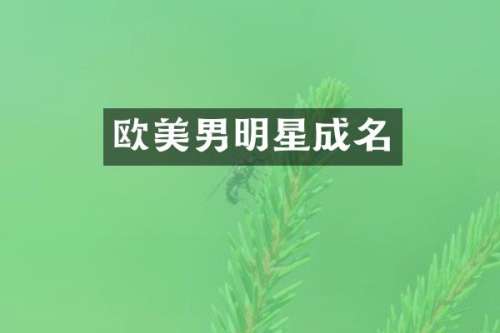 欧美男明星成名