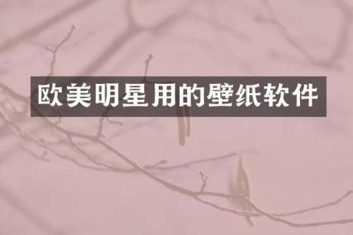 欧美明星用的壁纸软件