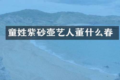 童姓紫砂壶艺人董什么春