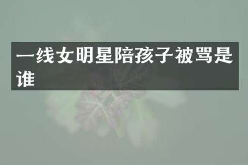 一线女明星陪孩子被骂是谁