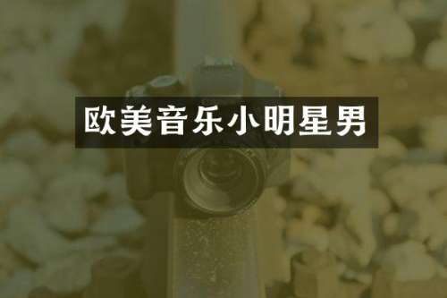 欧美音乐小明星男