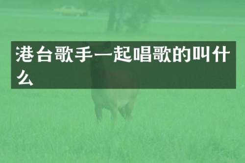 港台歌手一起唱歌的叫什么