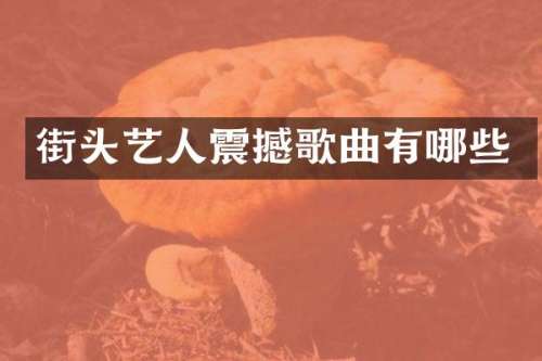 街头艺人震撼歌曲有哪些