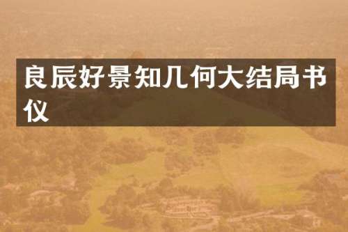 良辰好景知几何大结局书仪