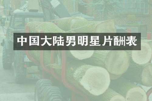 中国大陆男明星片酬表