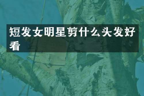 短发女明星剪什么头发好看