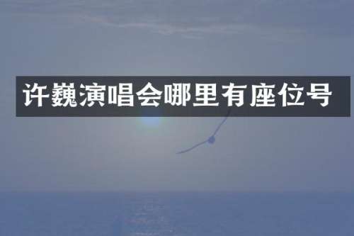 许巍演唱会哪里有座位号