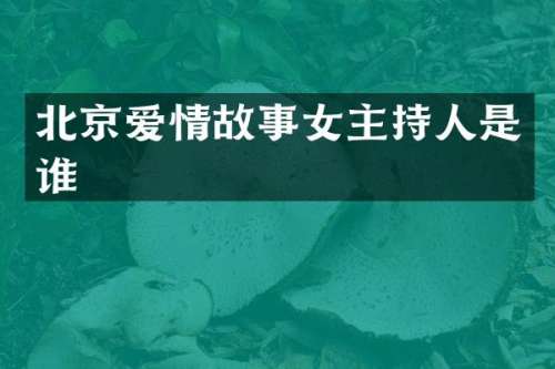 北京爱情故事女主持人是谁
