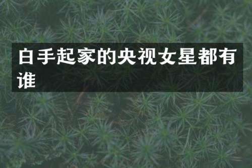 白手起家的央视女星都有谁