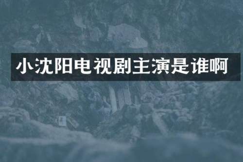 小沈阳电视剧主演是谁啊