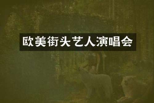 欧美街头艺人演唱会