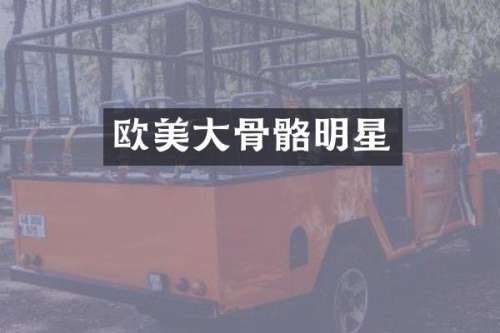 欧美大骨骼明星
