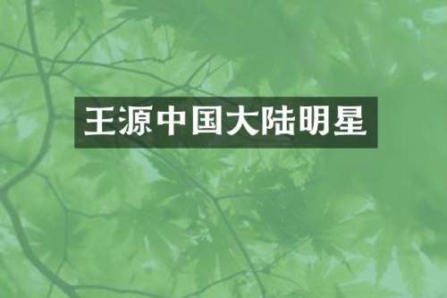 王源中国大陆明星