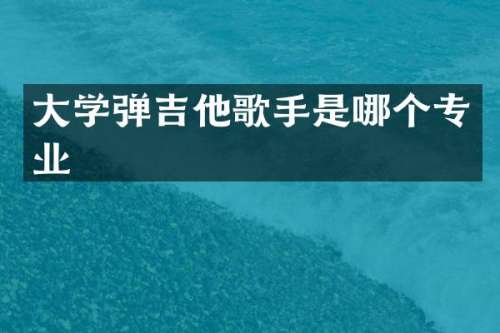 大学弹吉他歌手是哪个专业